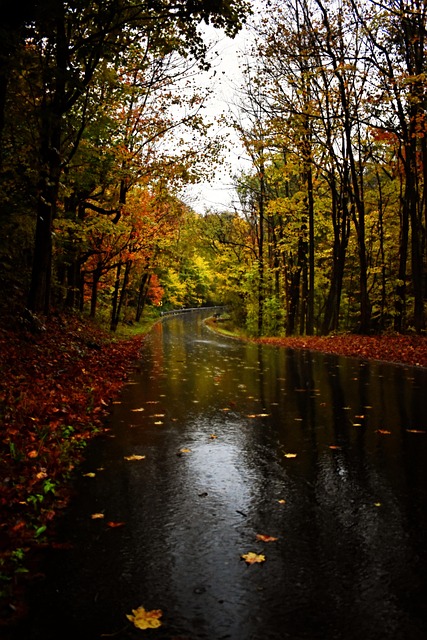 Free Road Sky photo and picture