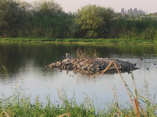 Free Water Nature photo and picture