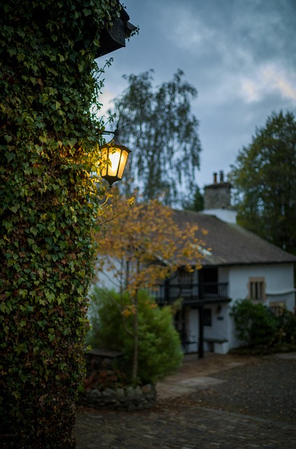 Free Windermere Lodge photo and picture
