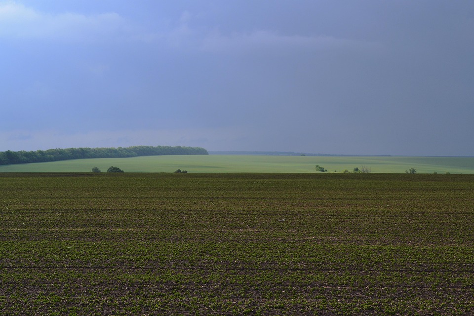 Spacious Field Meadow Field Farmland - Free photo on Pixabay - Pixabay