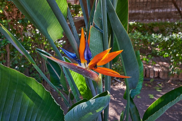 Image 6