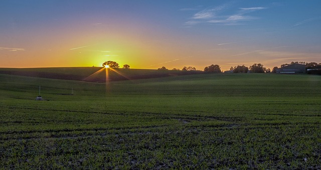 Felt, Natur, Solnedgang, Skumring