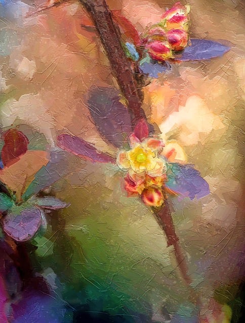 Free flowers barberry photo art illustration
