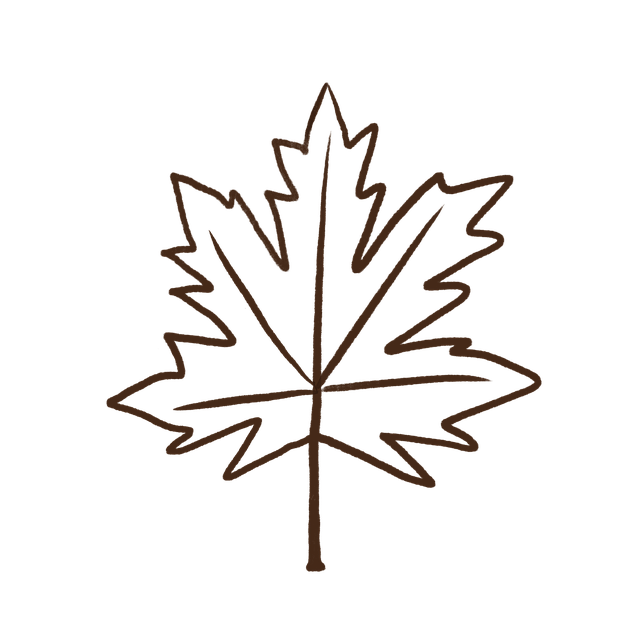  Blatt Ahorn Natur - Kostenloses Bild auf Pixabay - Pixabay Motiv 