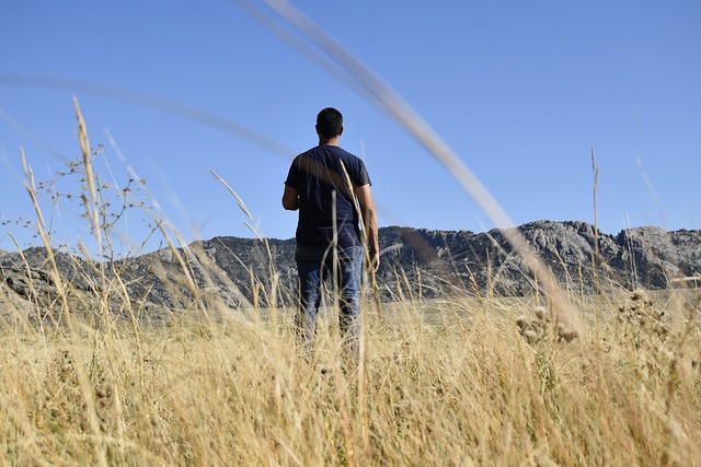 Free Independence Rock Field photo and picture