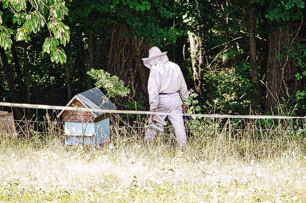 Apiculture Apiculteur Abeille - Photo gratuite sur Pixabay - Pixabay