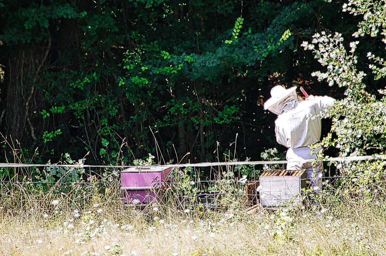 Apiculture Apiculteur Abeille - Photo gratuite sur Pixabay - Pixabay