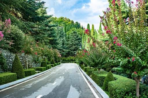 Free Nature Topiary photo and picture