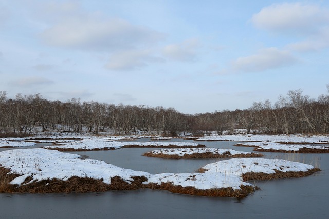 lake, first snow, winter, snow, mountains, kamchatka, forest, nature, russia, landscape