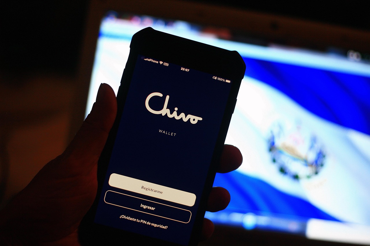 Chivo กระเป๋าสตางค์ การเข้ารหัสลับ - ภาพฟรีบน Pixabay