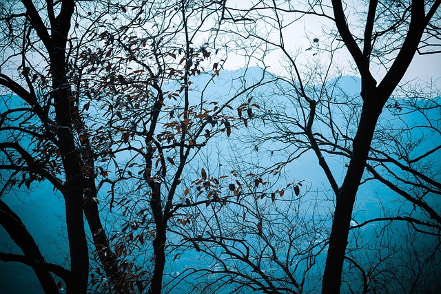 Herbst, Wald