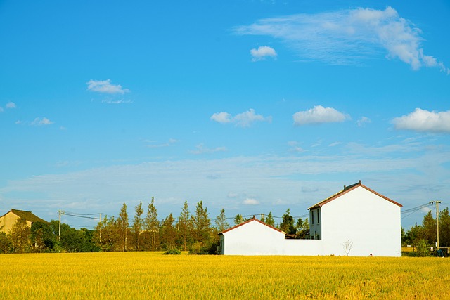 Free Field Rural photo and picture