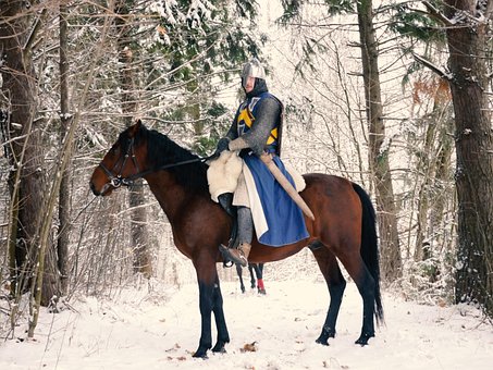 Free Knight Winter photo and picture