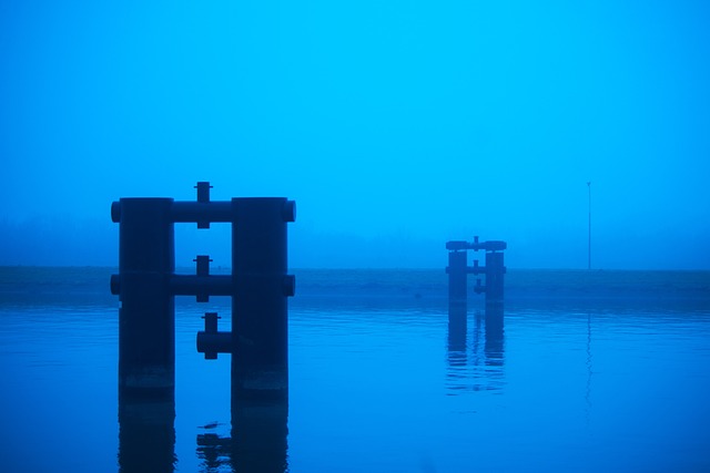 Free Mystical Dark photo and picture