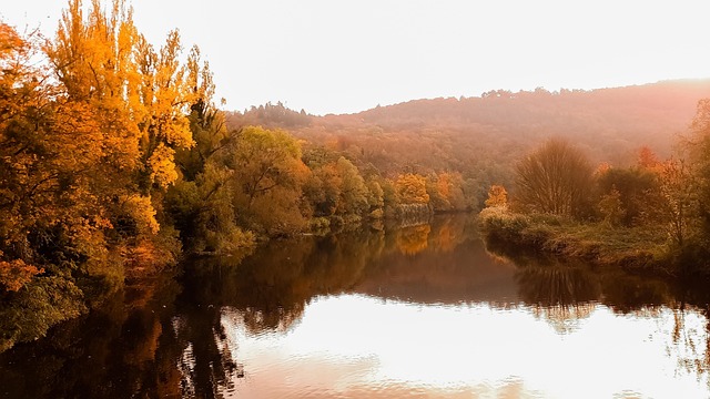 Lago, Natureza, Cair, Outono, Névoa