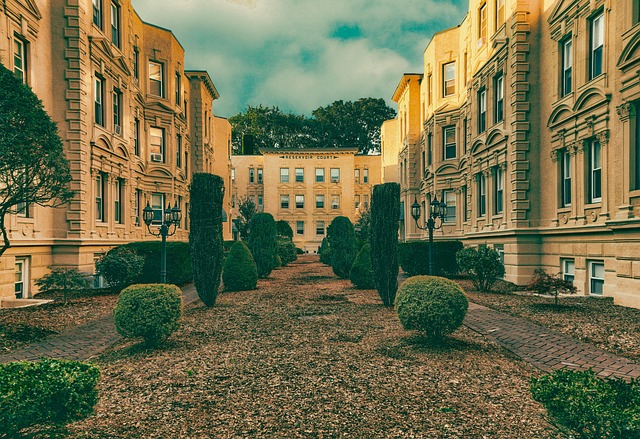 Free Street Building photo and picture