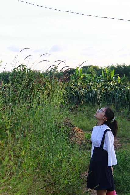 Free Nature Countryside photo and picture