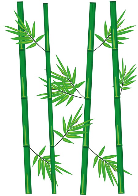 Free bamboo forest stem illustration