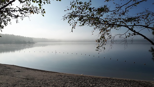 Natur, Wasser, Nebel, Luft, Sehen, Laub