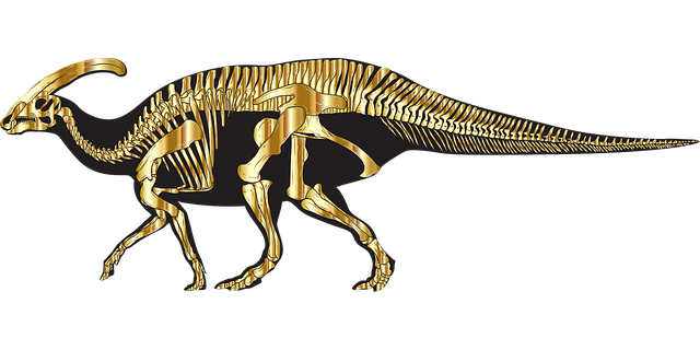 Free Dinosaur Dinosaur Skeleton vector and picture
