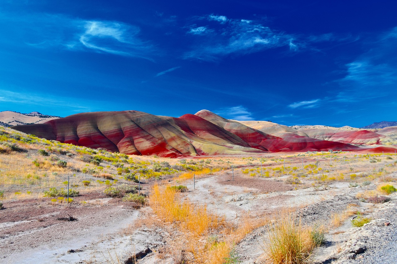 Usa - free online jigsaw puzzle photo