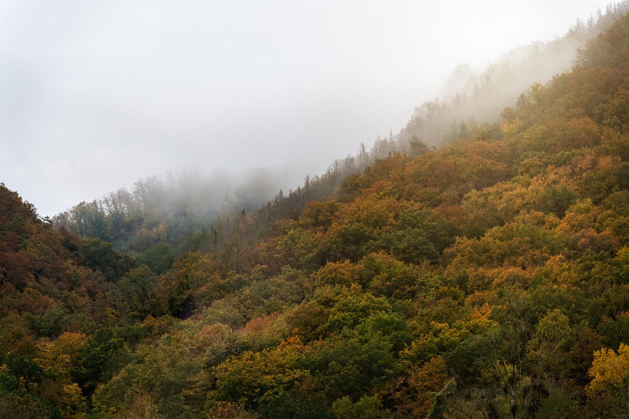 Mountain - free online jigsaw puzzle photo