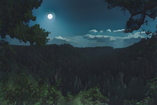 Free Forest Mountain illustration and picture