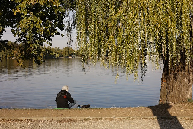 Muž, Relaxace, Jezero, Park, Volný Čas