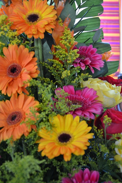Free Flowers Gerberas photo and picture