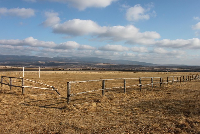 Estádio De Futebol, Campo De Futebol