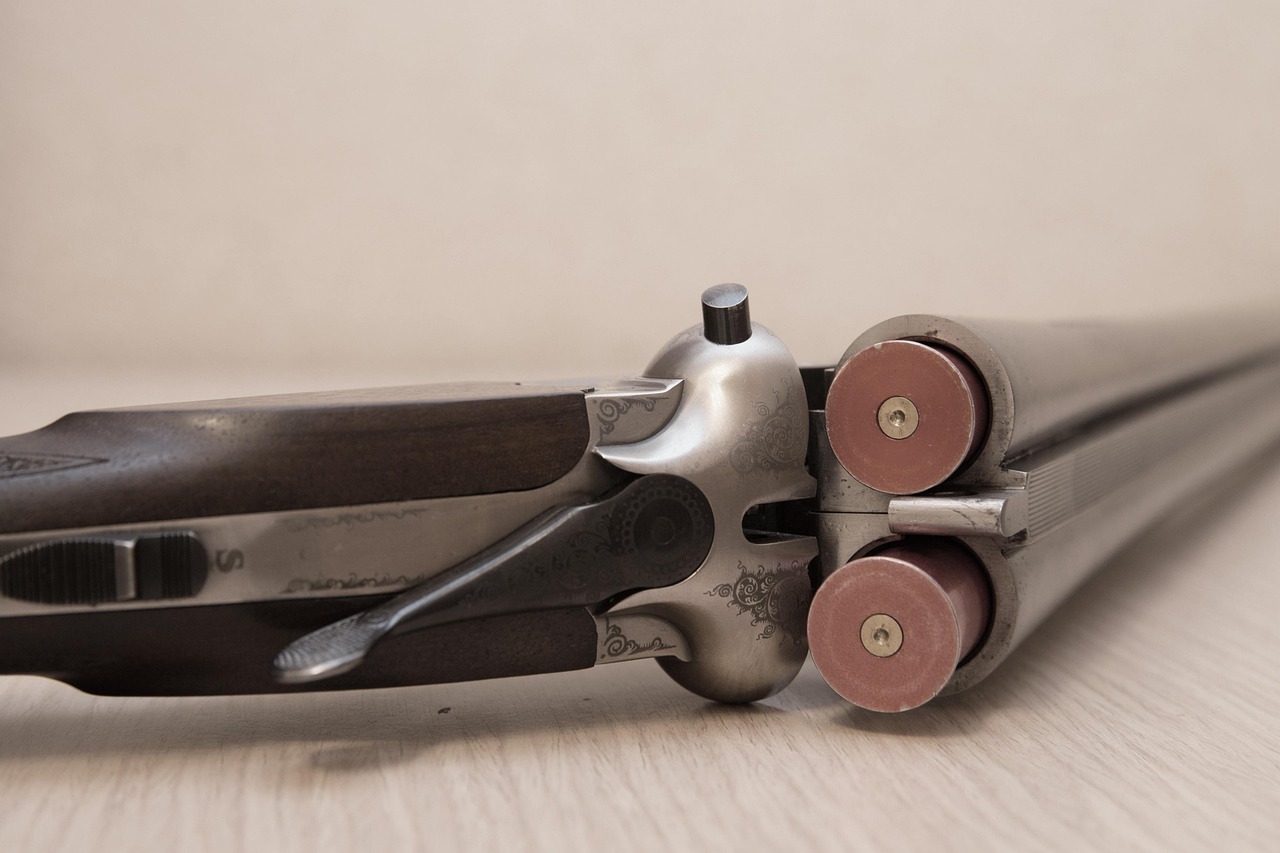 1000 多张免费的“Gun”和“枪”照片 - Pixabay