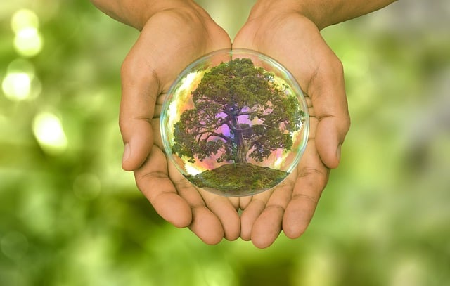 Free growth development nature illustration