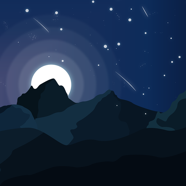 Free Night Nature illustration and picture