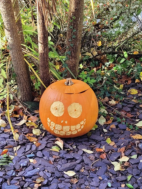Free Hallloween Pumpkin photo and picture