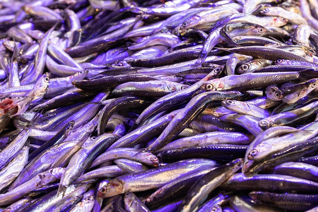 fish, fresh fish, market, nature, fish market