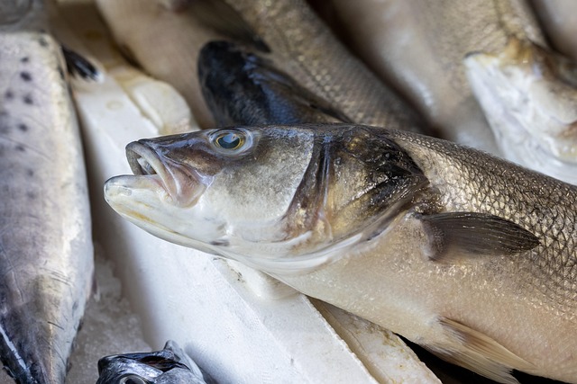 fish, nature, fish market, fresh fish, market