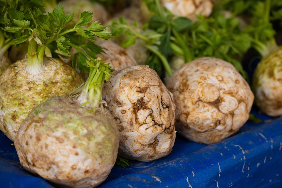 Celeriac Celery Roots Knob Free photo on Pixabay