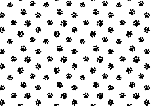 Pfoten, Paw Prints, Fußabdruck, Muster