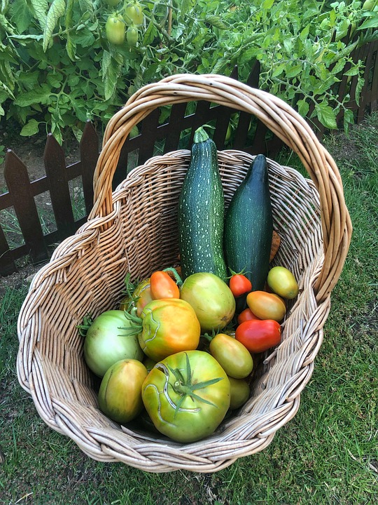 HausUnd Kleingärten Gemüsegarten Kostenloses Foto auf Pixabay Pixabay