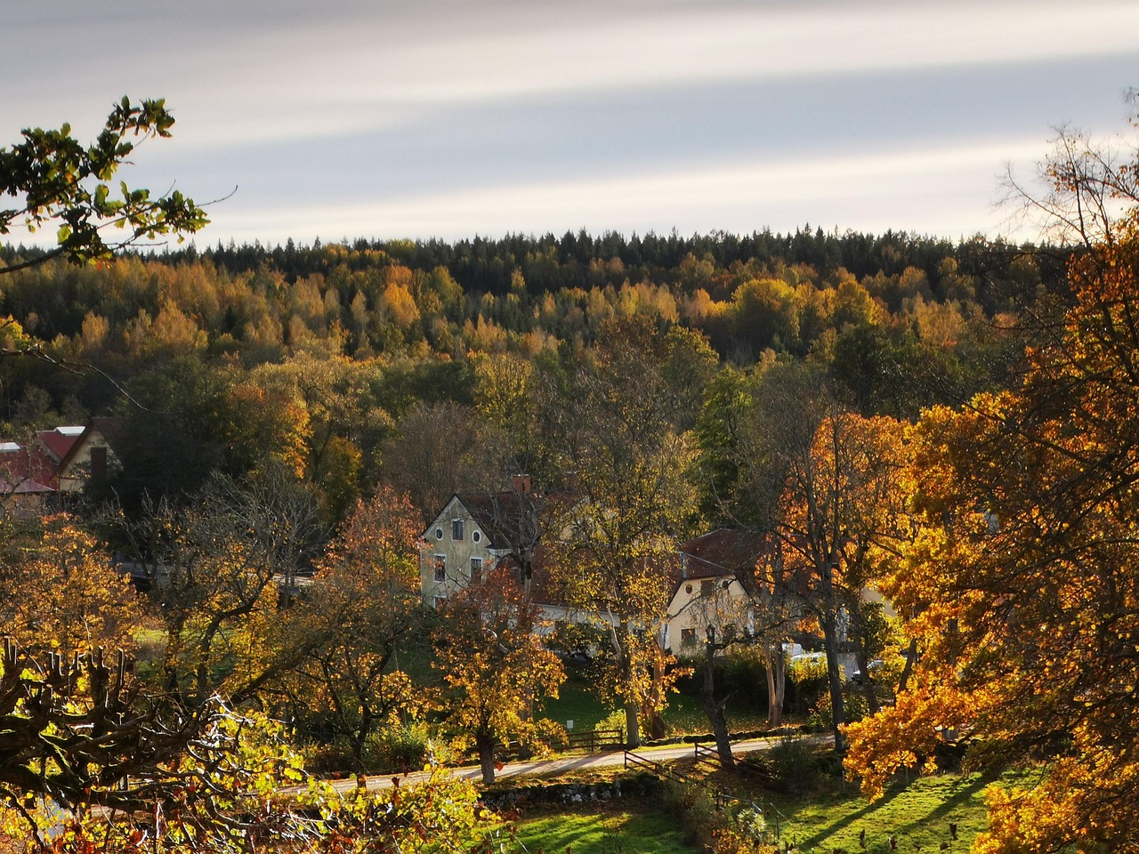 h-stbilder-autumn-leaves-sweden-gratis-foto-p-pixabay-pixabay