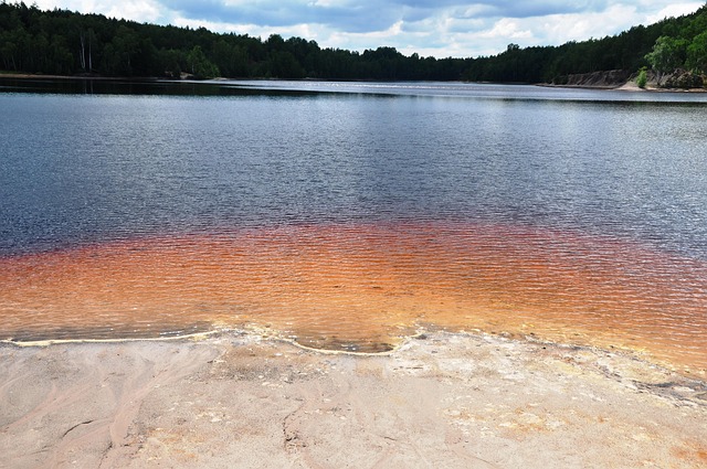 Free Lake Forest photo and picture