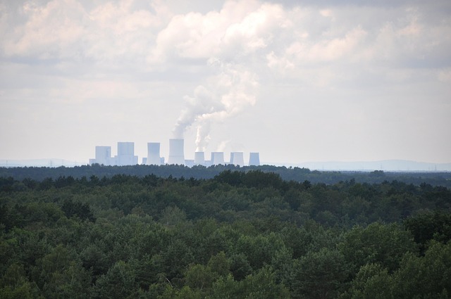 Free Forest Factory photo and picture