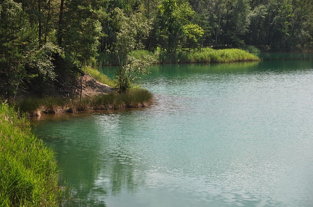 Free Lake Forest photo and picture
