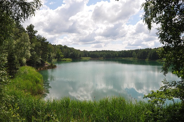 Free Lake Forest photo and picture