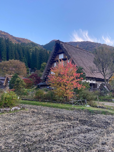 Free Gassho-Zukuri Shirakawa-Go photo and picture