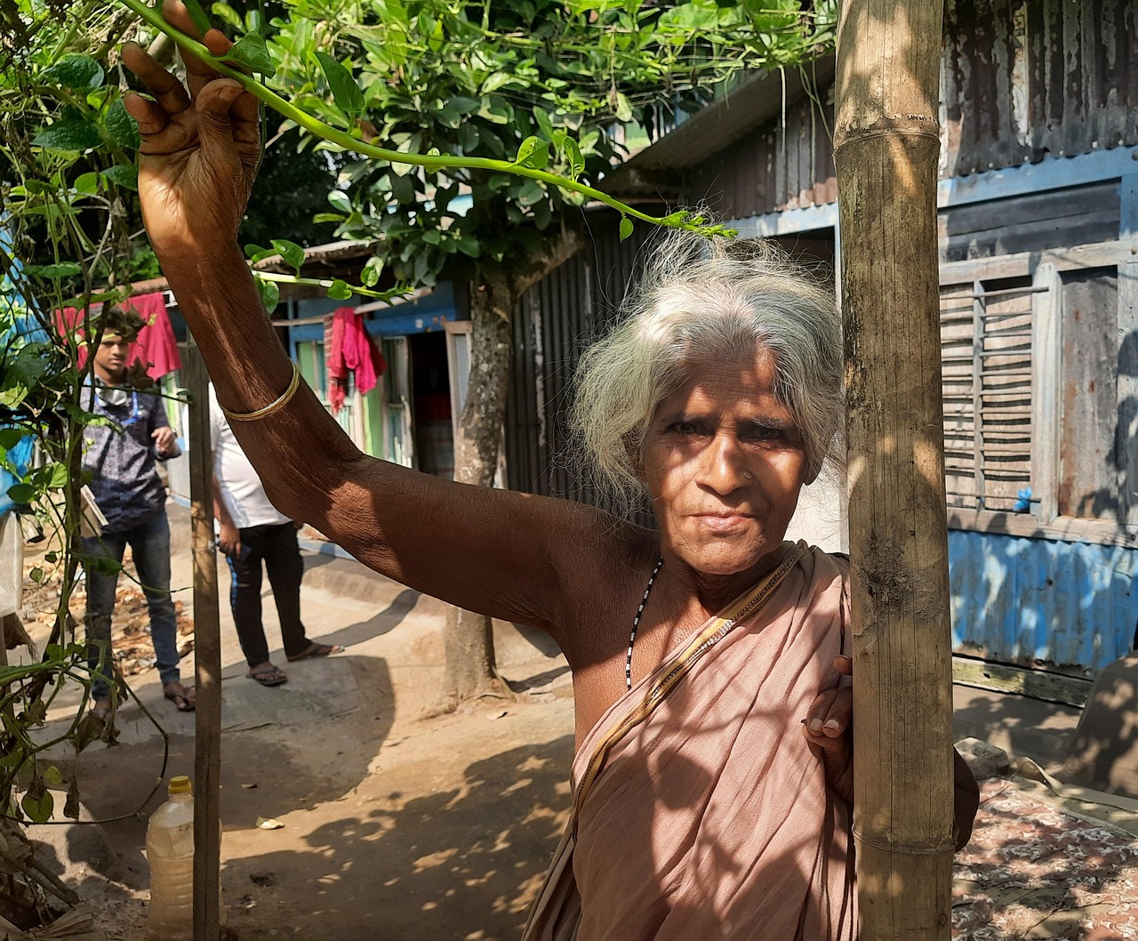 Bangladesh Velhote Mulheres Velhas Foto Gratuita No Pixabay Pixabay bangladesh-velhote-mulheres-velhas-foto-gratuita-no-pixabay-pixabay