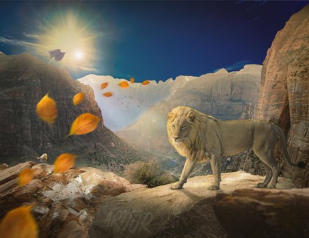 Free Lion King photo and picture