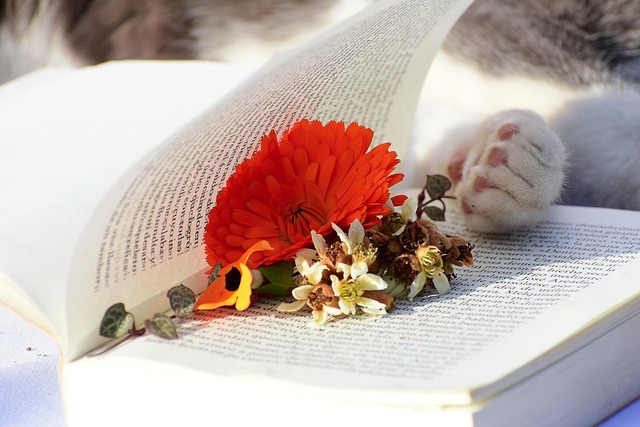 Free Book Flower photo and picture