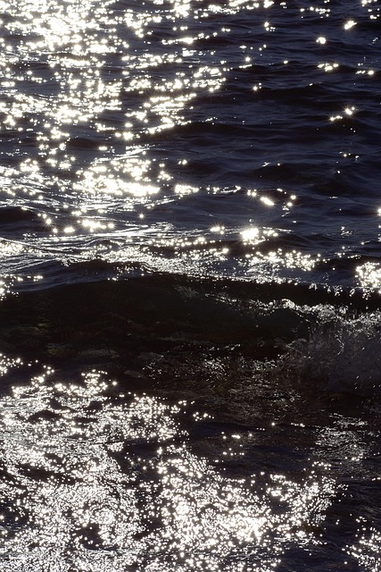 Free Water Nature photo and picture