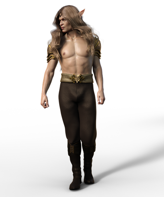 Free elf prince man illustration